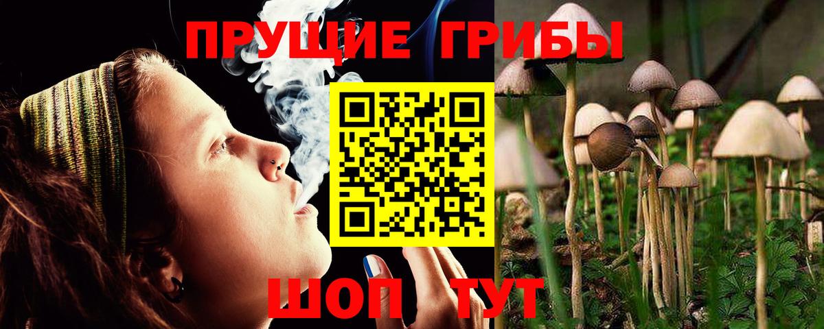 Галлюциногенные грибы мухоморы  цена   Асбест  Вход с VPN 